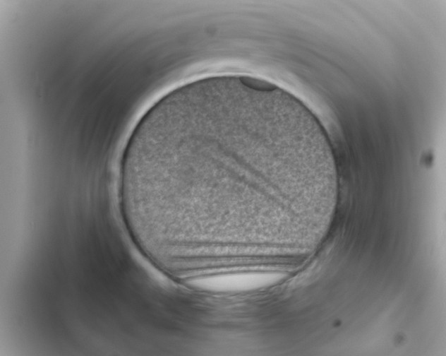 X0000103161527200809192041