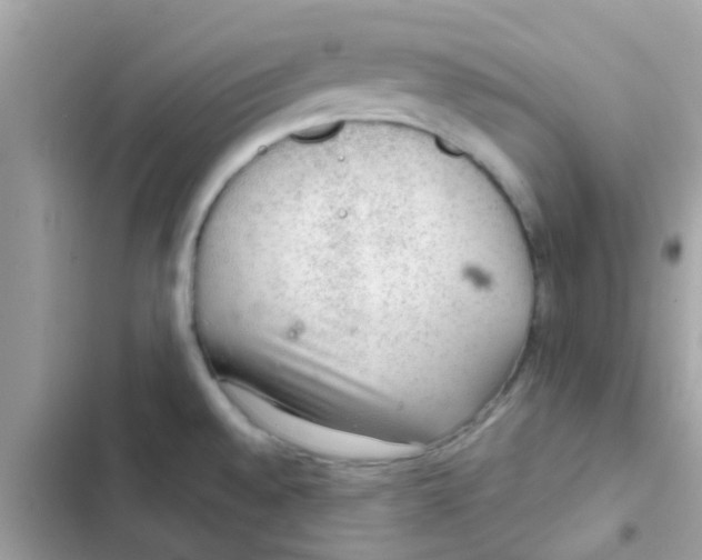 X0000103161528200809192041