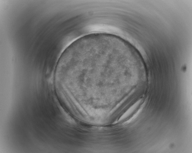 X0000103161529200809192041