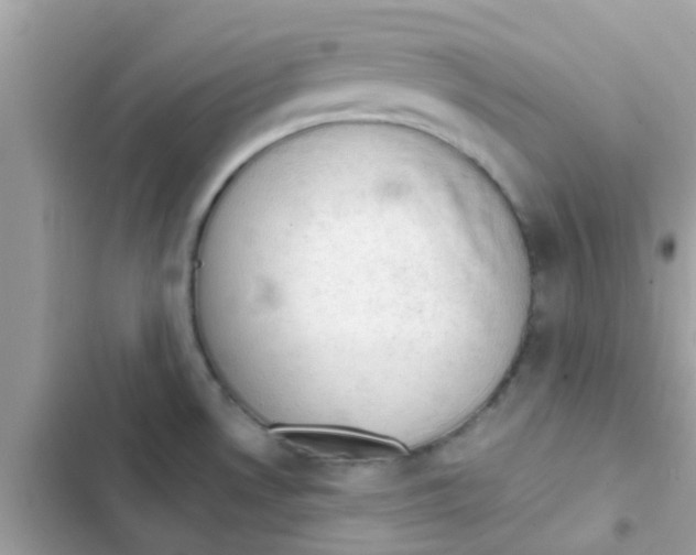 X0000103161530200809192041