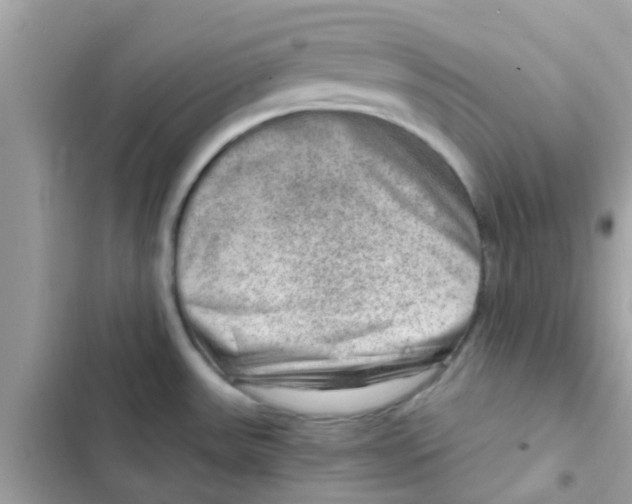 X0000103161531200809192042