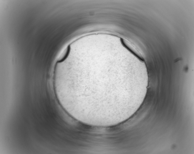 X0000103161532200809192042