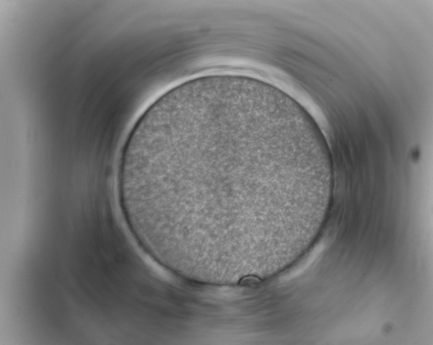 X0000103161533200809192042