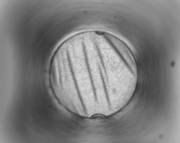 X0000103161534200809192042