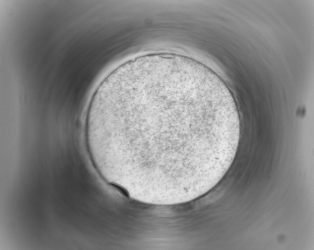 X0000103161536200809192042