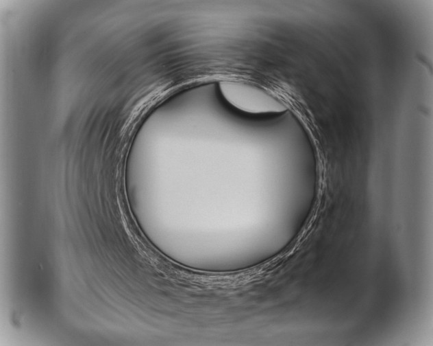 X0000103170001200808221139