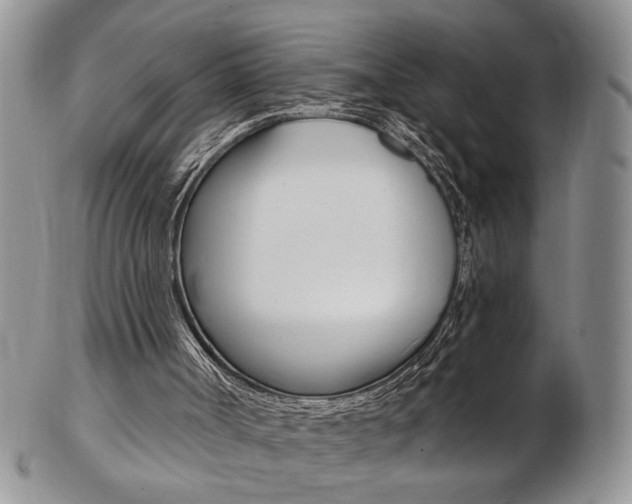 X0000103170002200808221139