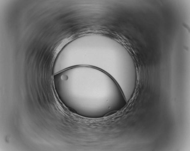 X0000103170003200808221139