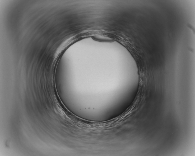 X0000103170004200808221139