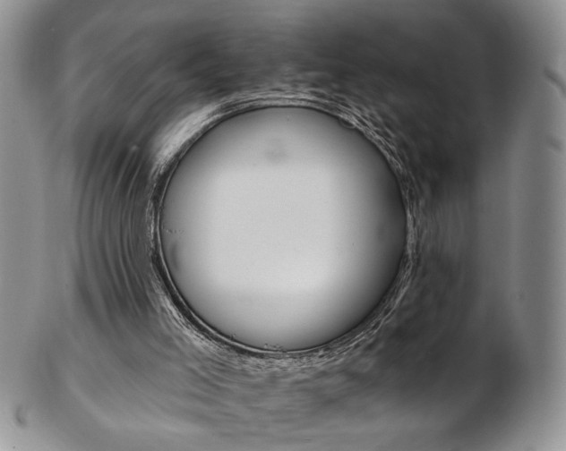 X0000103170005200808221139