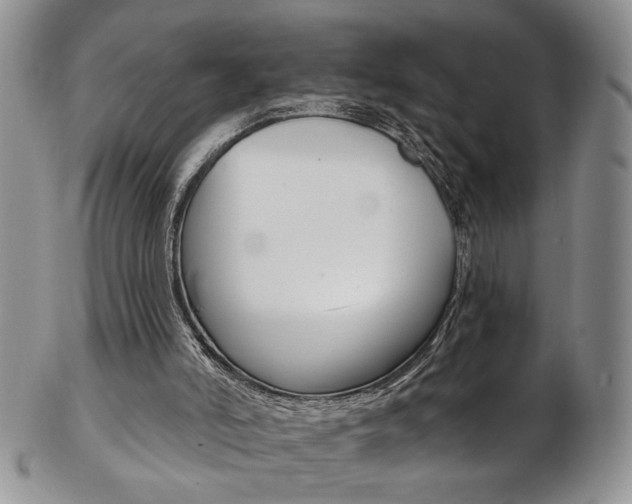 X0000103170006200808221139