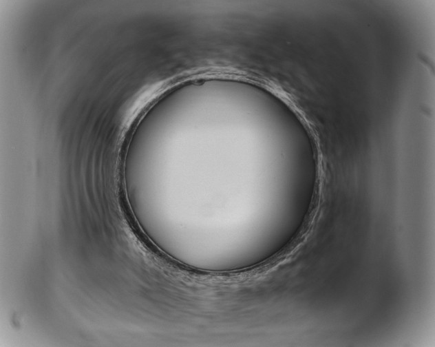 X0000103170007200808221139
