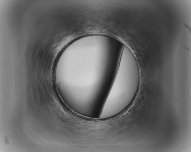 X0000103170008200808221139