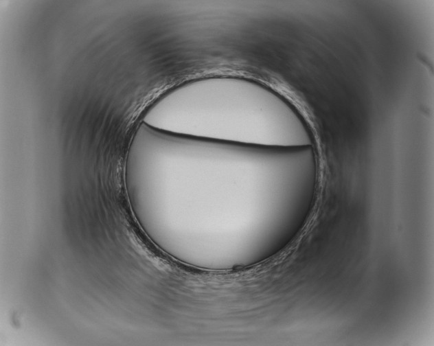 X0000103170009200808221139