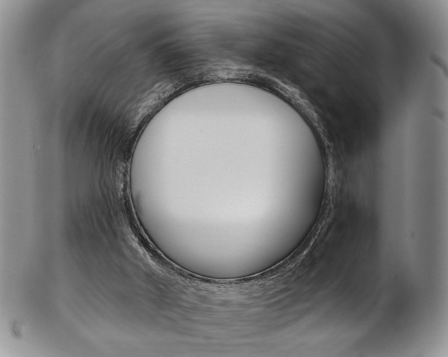 X0000103170010200808221139