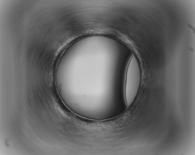 X0000103170012200808221139
