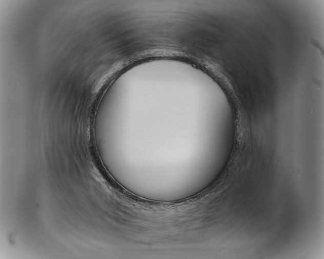 X0000103170015200808221138