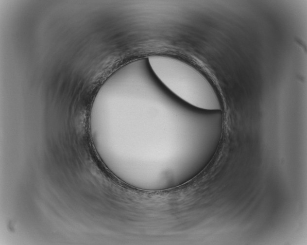 X0000103170018200808221138