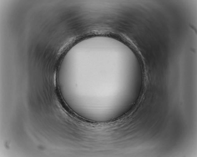 X0000103170019200808221138