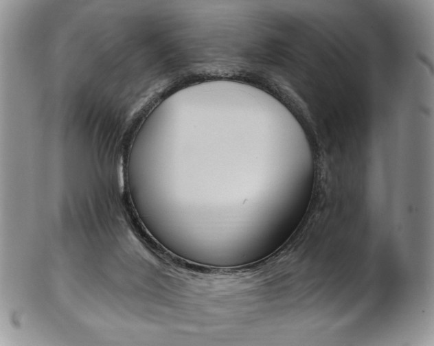 X0000103170020200808221138