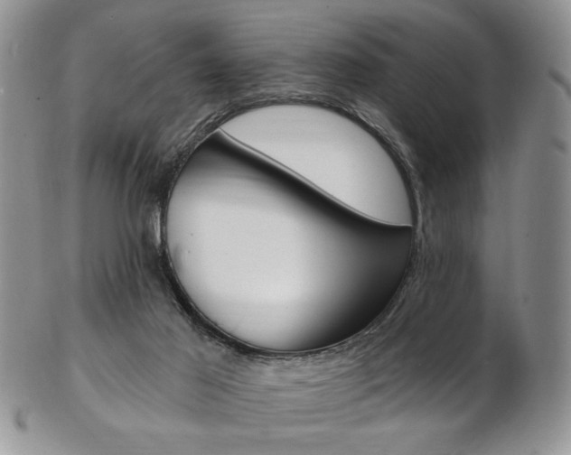 X0000103170021200808221138