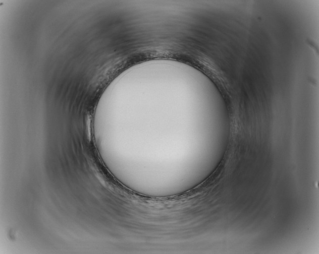 X0000103170022200808221138