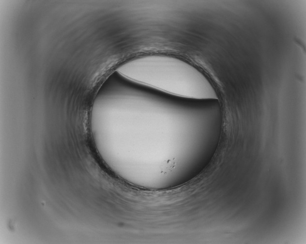 X0000103170023200808221138