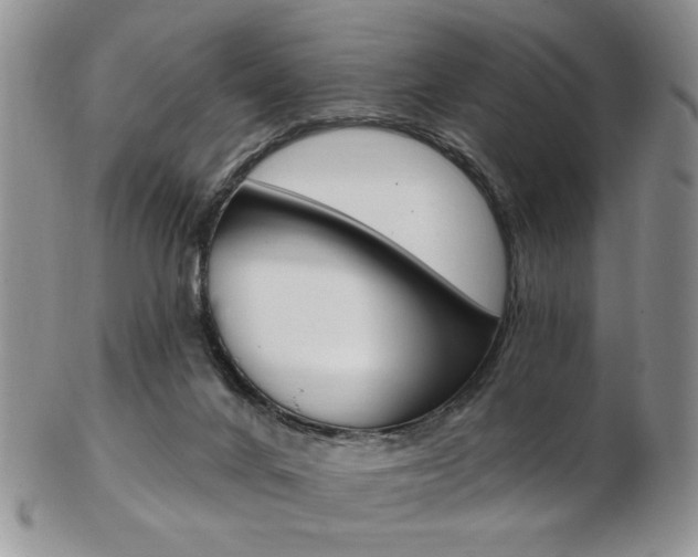 X0000103170024200808221138