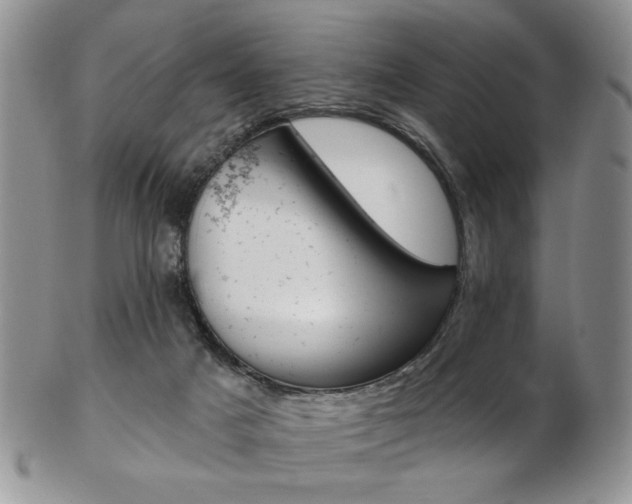 X0000103170025200808221138