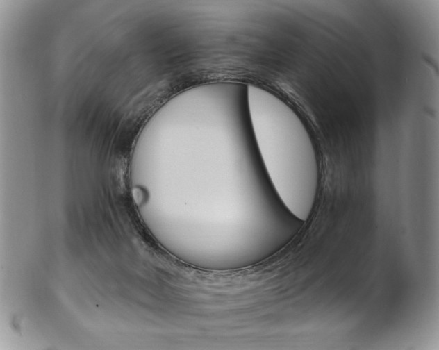 X0000103170026200808221138