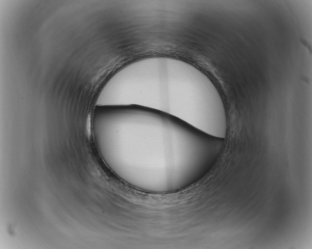 X0000103170027200808221138
