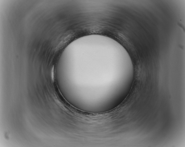X0000103170028200808221138