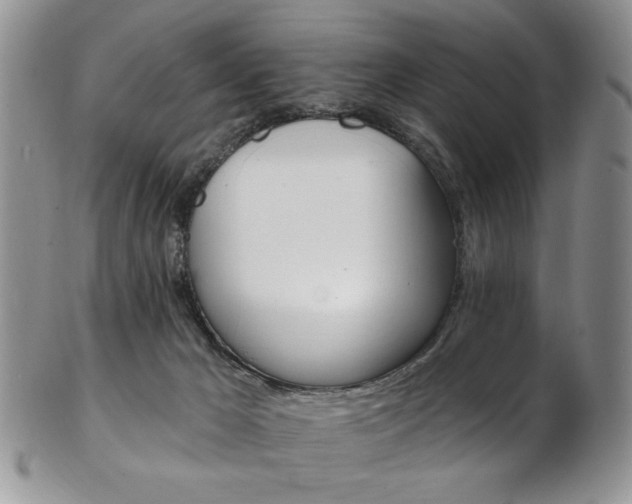 X0000103170029200808221138