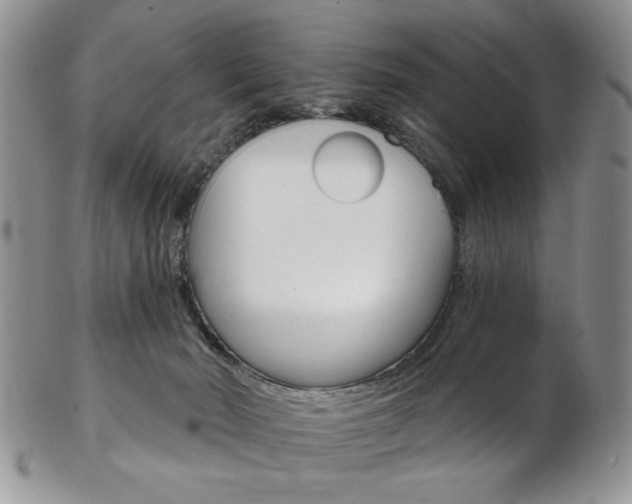 X0000103170030200808221138