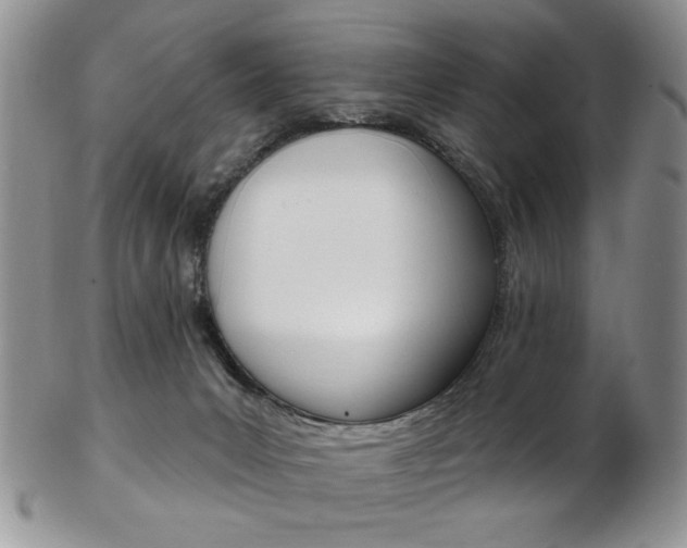 X0000103170031200808221138