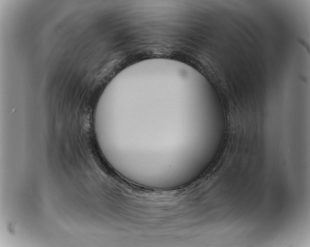 X0000103170032200808221138