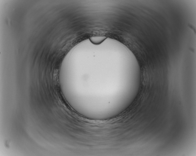 X0000103170034200808221138