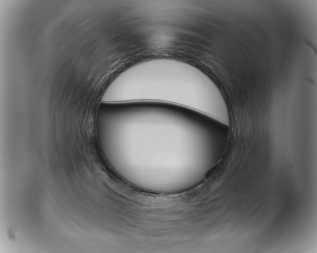 X0000103170036200808221138