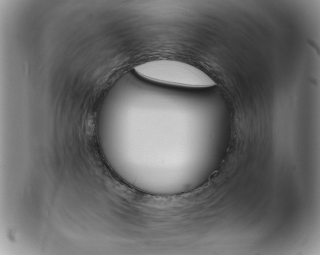 X0000103170037200808221138