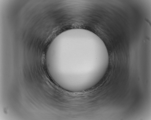 X0000103170038200808221138