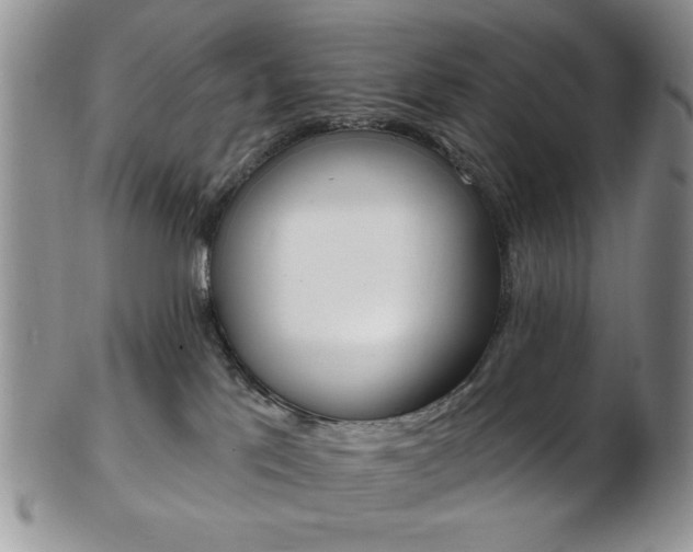 X0000103170041200808221138