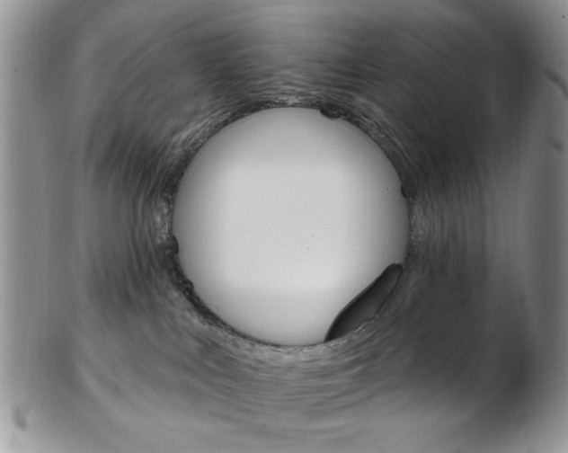 X0000103170043200808221138