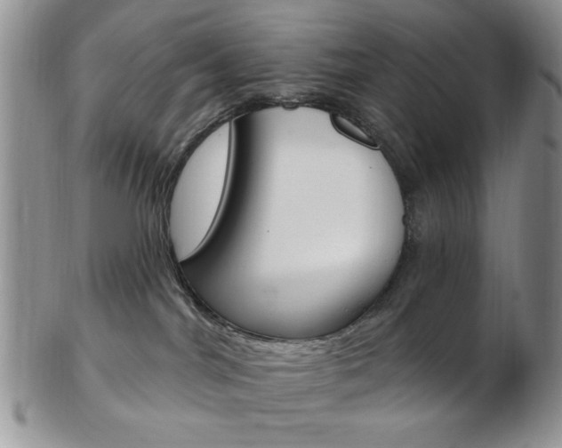X0000103170044200808221138