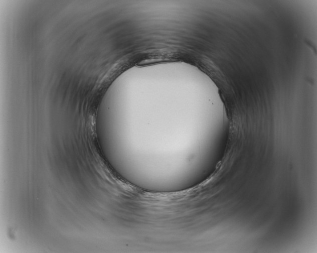 X0000103170045200808221138