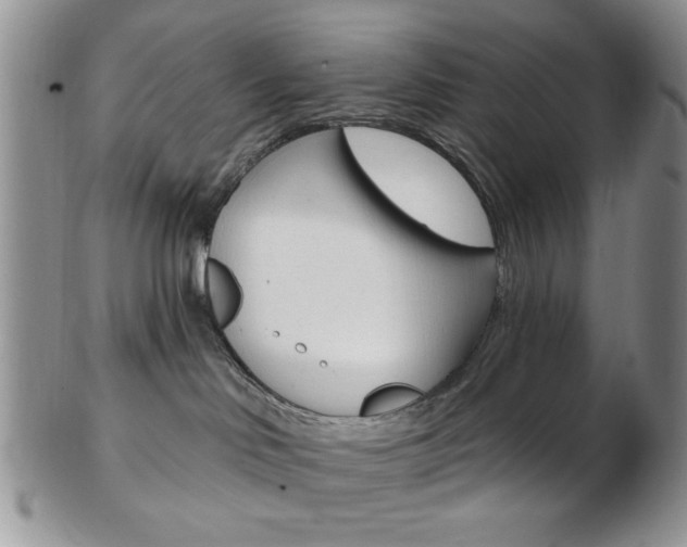 X0000103170046200808221138