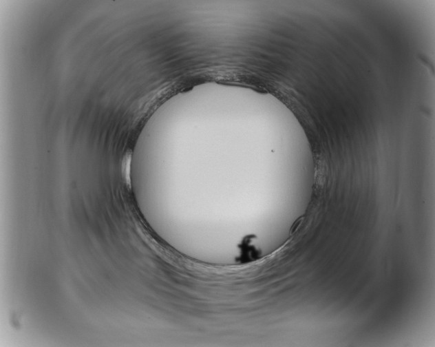 X0000103170047200808221138