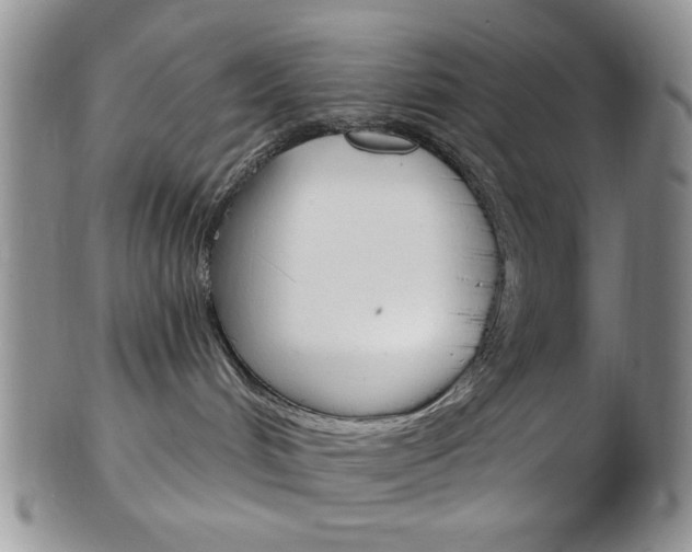 X0000103170048200808221138