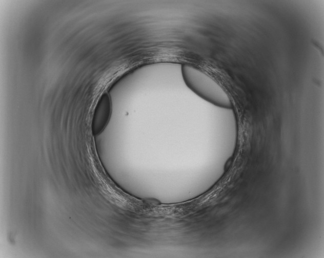 X0000103170049200808221137