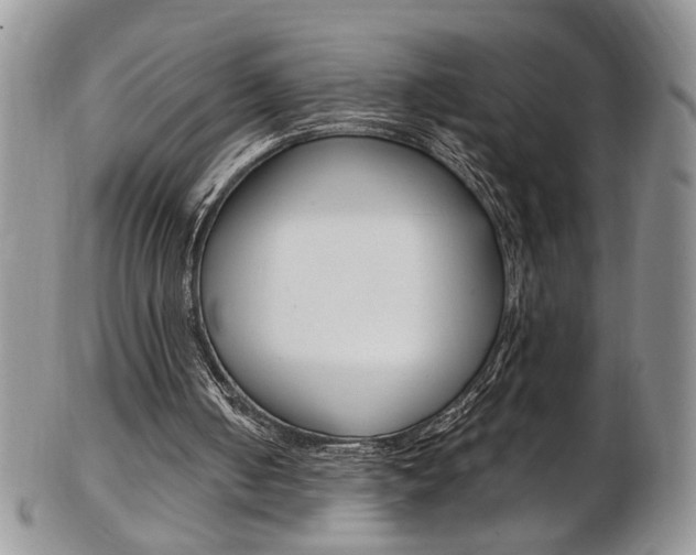 X0000103170050200808221137