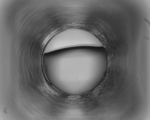 X0000103170051200808221137
